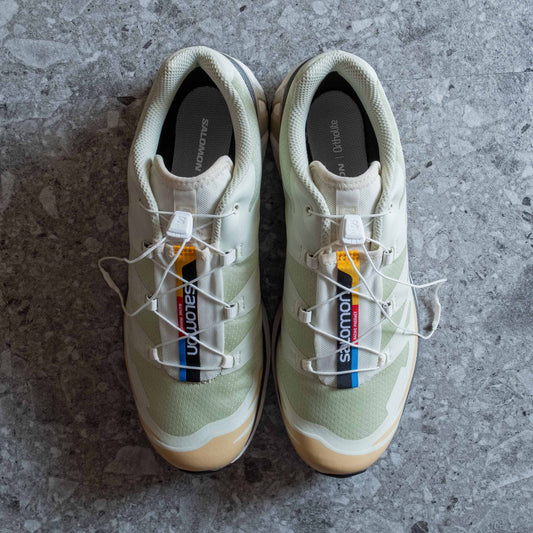 Salomon Xt6